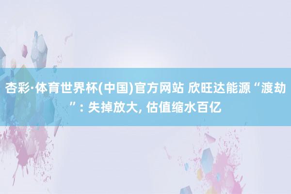 杏彩·体育世界杯(中国)官方网站 欣旺达能源“渡劫”: 失掉放大， 估值缩水百亿