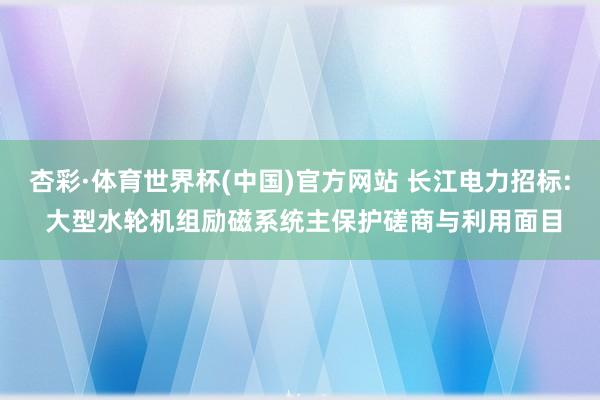 杏彩·体育世界杯(中国)官方网站 长江电力招标: 大型水轮机组励磁系统主保护磋商与利用面目