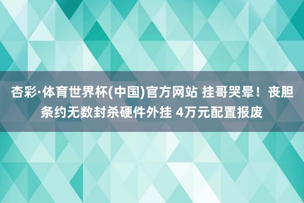 杏彩·体育世界杯(中国)官方网站 挂哥哭晕！丧胆条约无数封杀硬件外挂 4万元配置报废