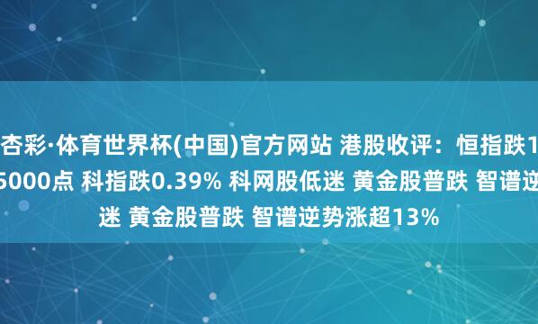 杏彩·体育世界杯(中国)官方网站 港股收评：恒指跌1.27%险守25000点 科指跌0.39% 科网股低迷 黄金股普跌 智谱逆势涨超13%