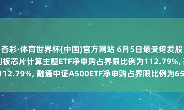 杏彩·体育世界杯(中国)官方网站 6月5日最受疼爱股票ETF: 广发上证科创板芯片计算主题ETF净申购占界限比例为112.79%， 融通中证A500ETF净申购占界限比例为65.88%(名单)