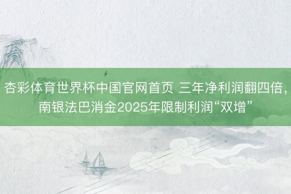 杏彩体育世界杯中国官网首页 三年净利润翻四倍，南银法巴消金2025年限制利润“双增”