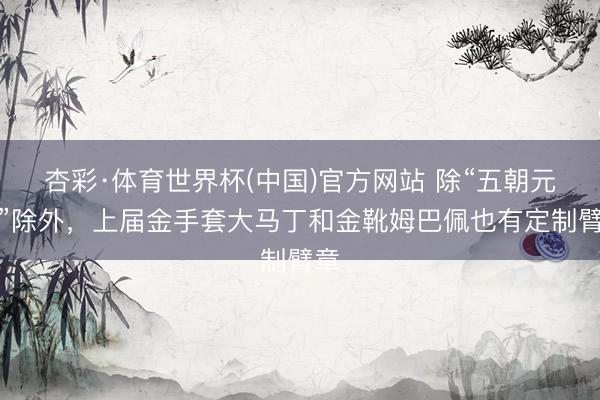 杏彩·体育世界杯(中国)官方网站 除“五朝元老”除外，上届金手套大马丁和金靴姆巴佩也有定制臂章